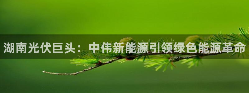 申博视讯