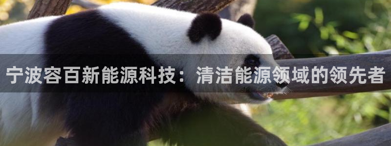 sunbet手机端