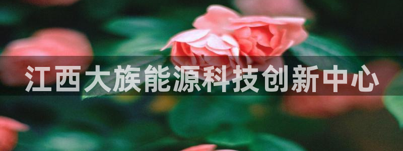 申博官网手机版下载app