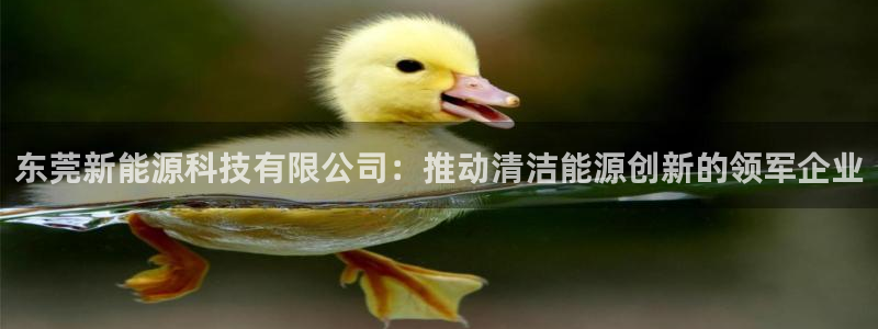 进入sunbet官网手机版登陆