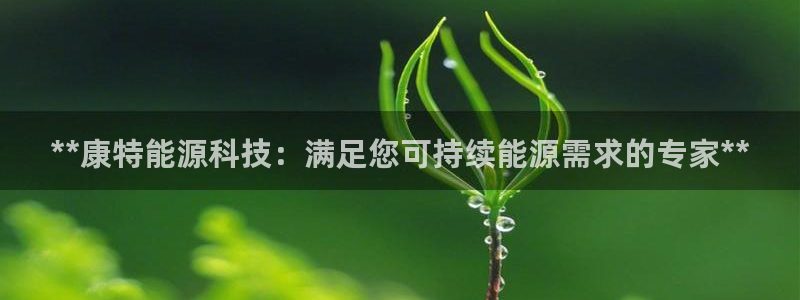 sunbet官网代理下载