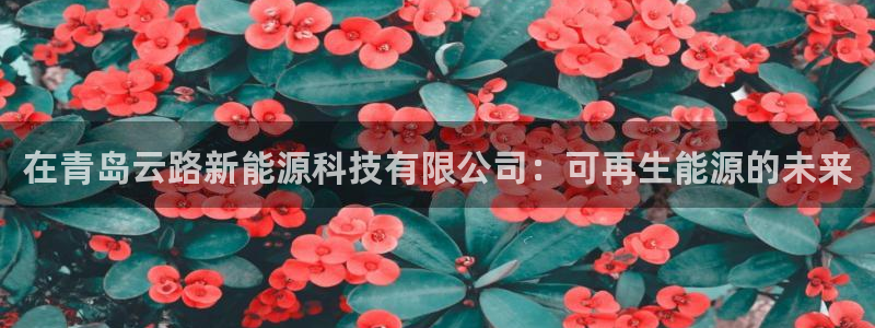 sunbet手机端