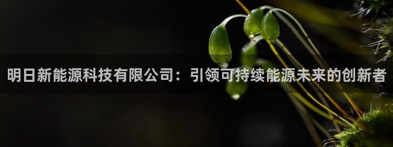 sunbet申搏官方网站