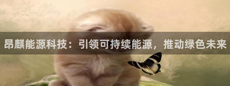 申博官方网站手机版下载