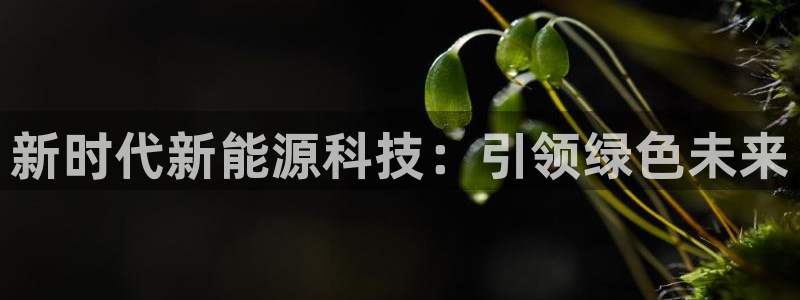 sunbet最新登陆