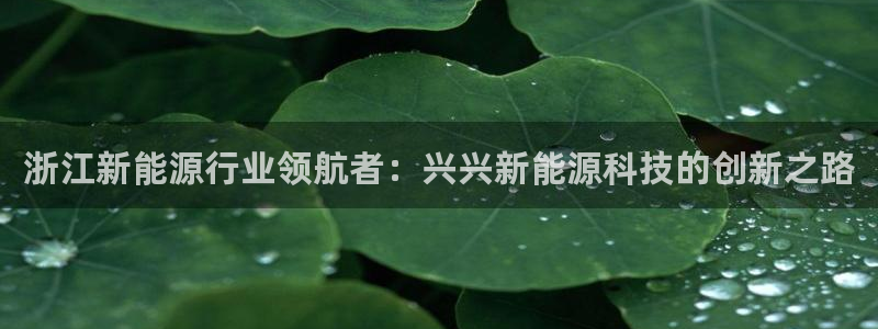 sunbet中文