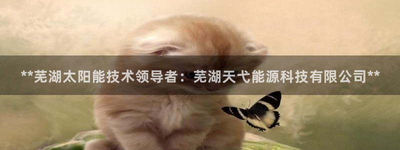 sunbet中文