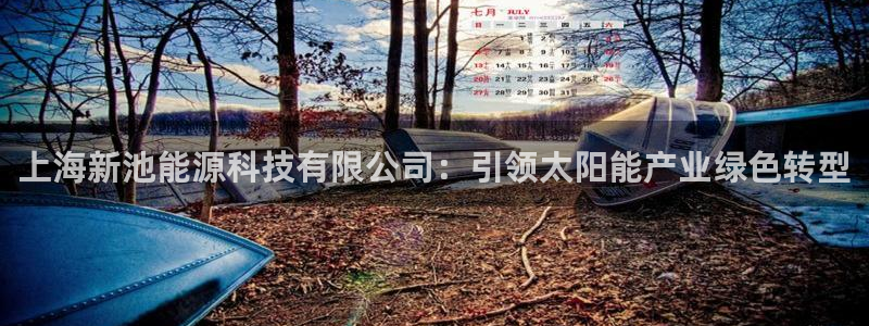 sunbet最新登陆
