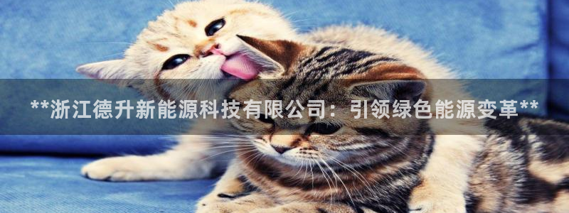 下载申搏sunbet并安装app
