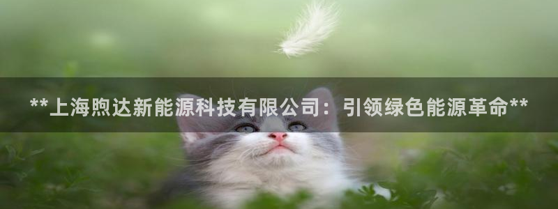 sunbet游戏官网
