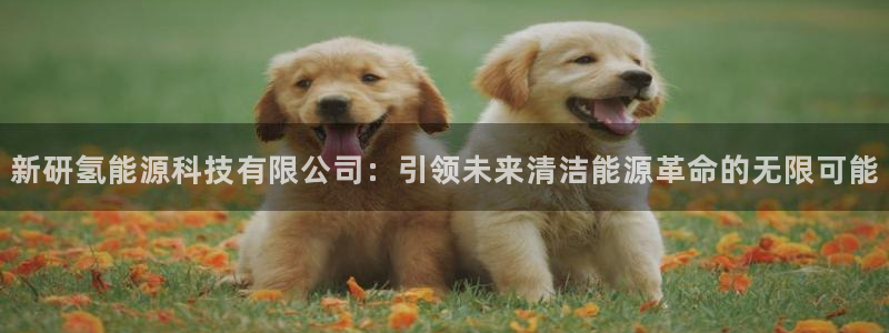 申博官网电脑版下载