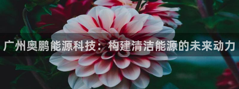 申慱sunbet手机版登