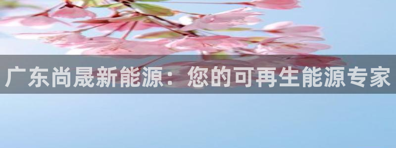 申博官网电脑版下载