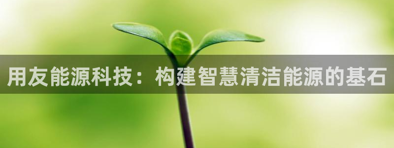 sunbet游戏官网