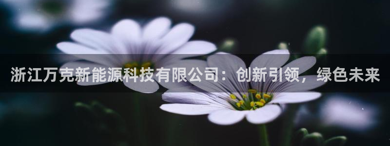 sunbet官网手机版登录