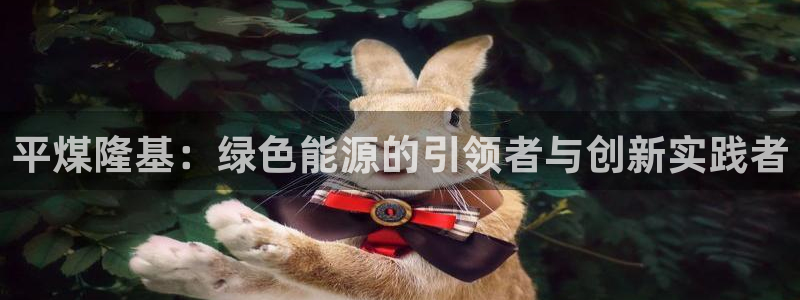 sunbet程序