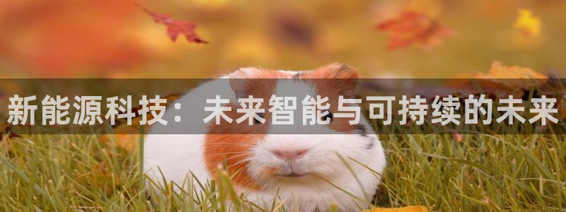 sunbet最新登陆