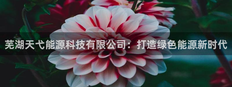 sunbet手机网页版本
