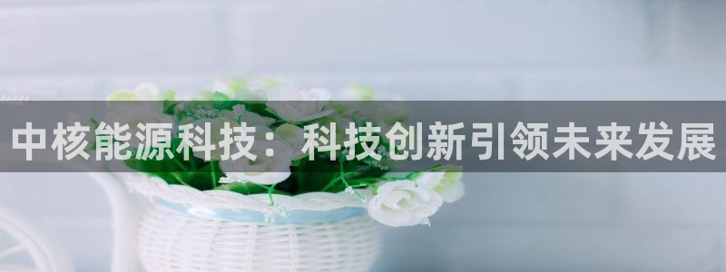sunbet中文