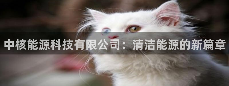 申慱sunbet网站