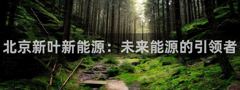 sunbet申搏官方网站