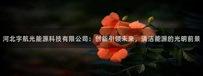 sunbet申搏官网