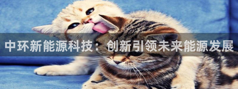 sunbet首页登录入口