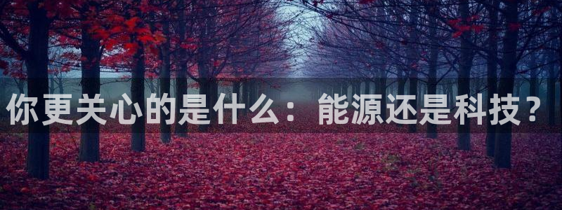 sunbet官网welcome