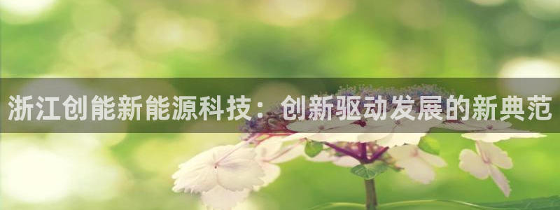 sunbet手机网页版本