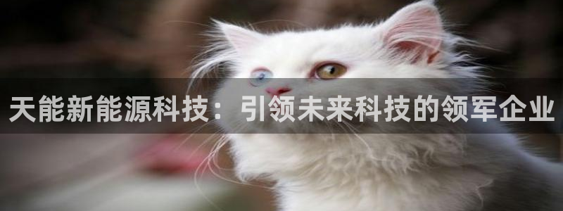申慱sunbet版app