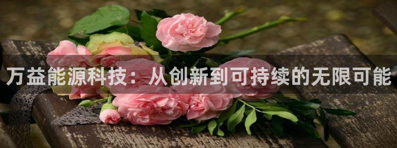 sunbet官网代理下载