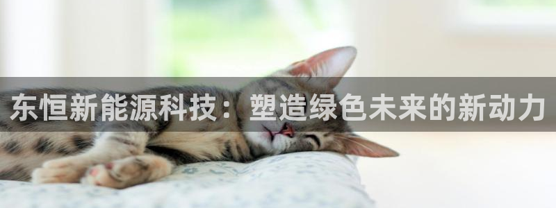 sunbet官网代理下载