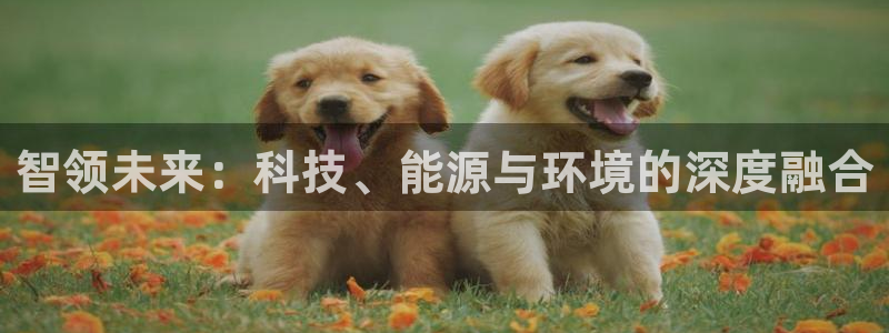 sunbet中国官网
