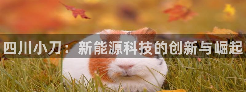 申博官网手机版下载app