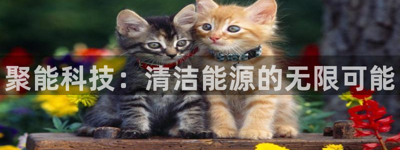 申博手机版app下载