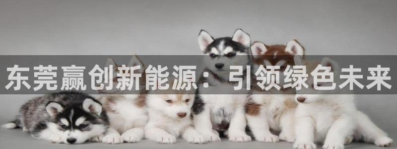 sunbet手机版登录