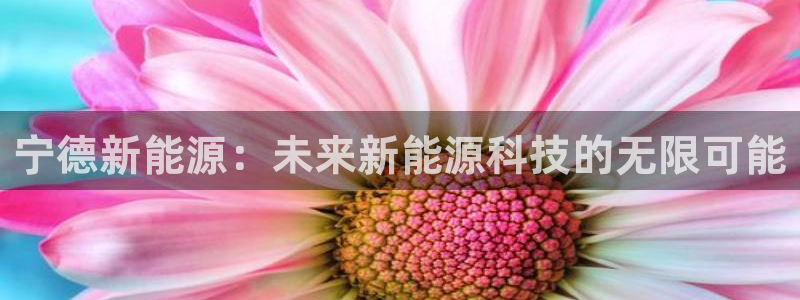 sunbet安卓下载