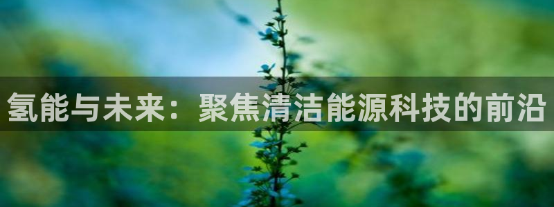 sunbet手机版登录