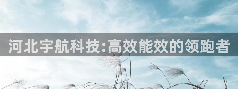 sunbet手机版登录
