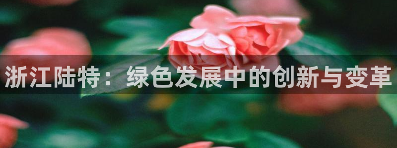申慱sunbet版app