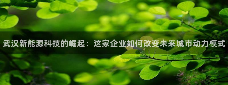 sunbet官网代理下载