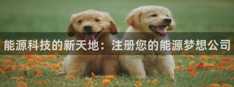 sunbet申搏官方网站