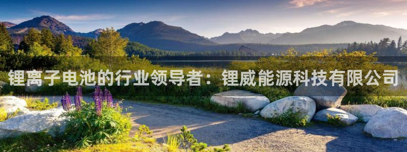 sunbet最新登陆