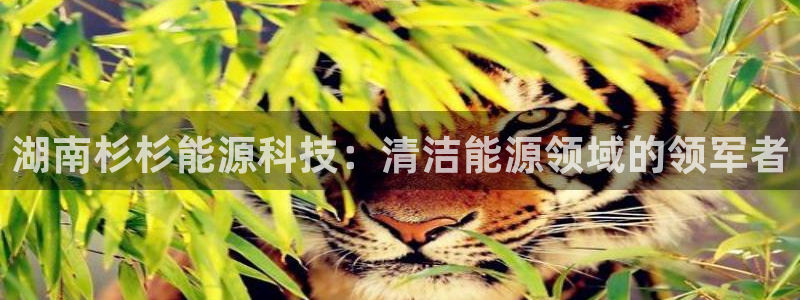 sunbet线上真人手机版