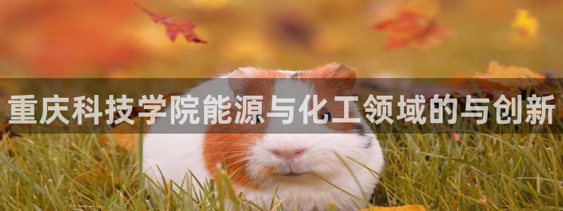 sunbet官网手机版登录