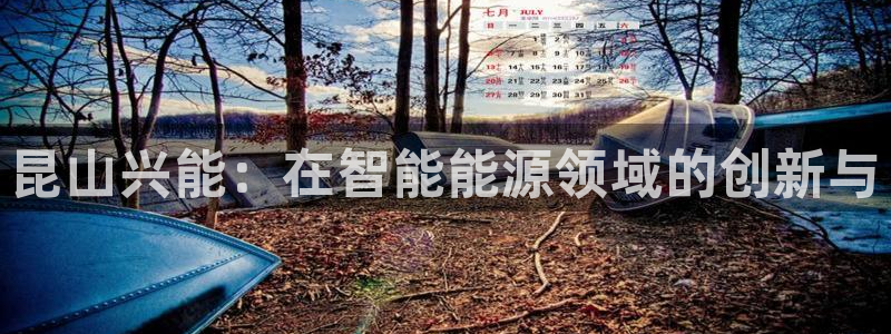 sunbet手机网页版本