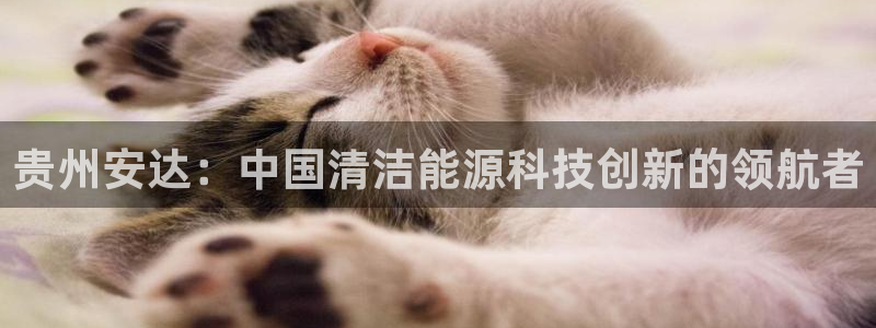 sunbet首页登录入口