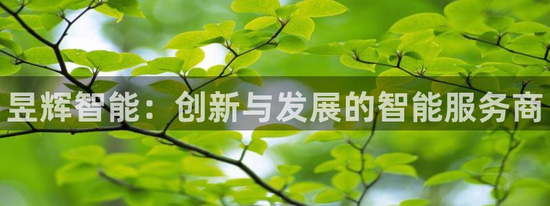 sunbet最新登陆