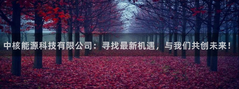 sunbet游戏官网