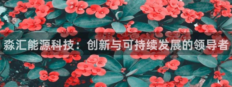 sunbet游戏最新版